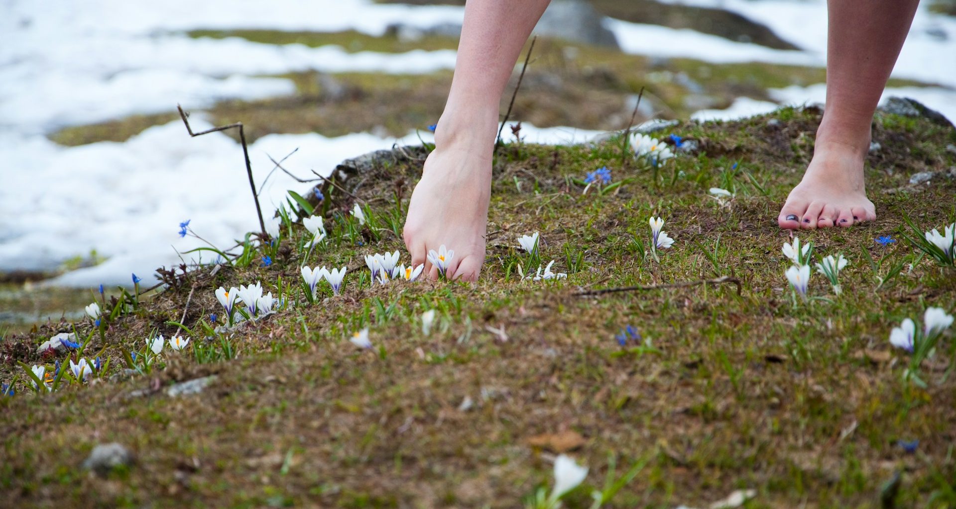 Bare feet on grass next to snow, with small wildflowers growing.