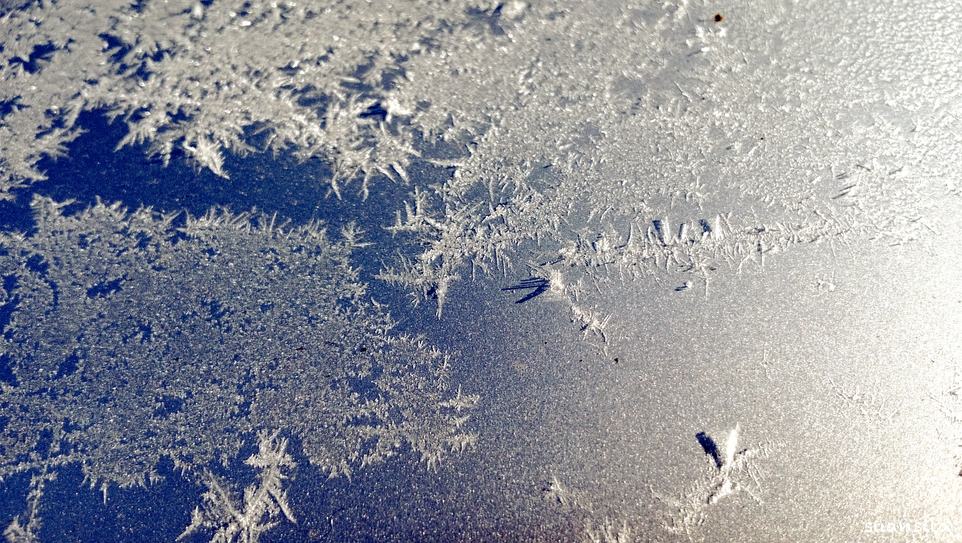 Morning frost, snowflakes