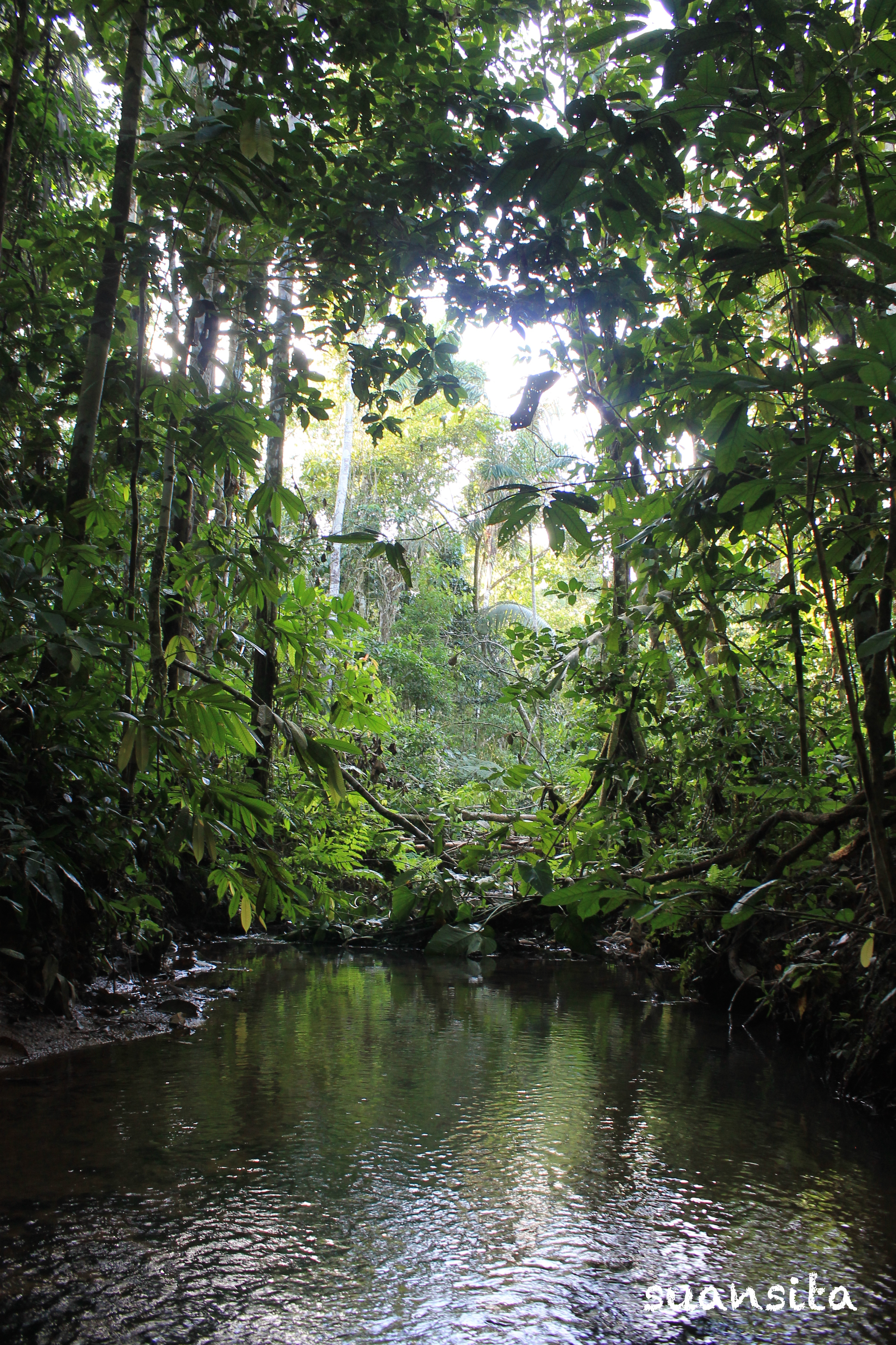 2015-04 Parque Nacional Madidi (4)