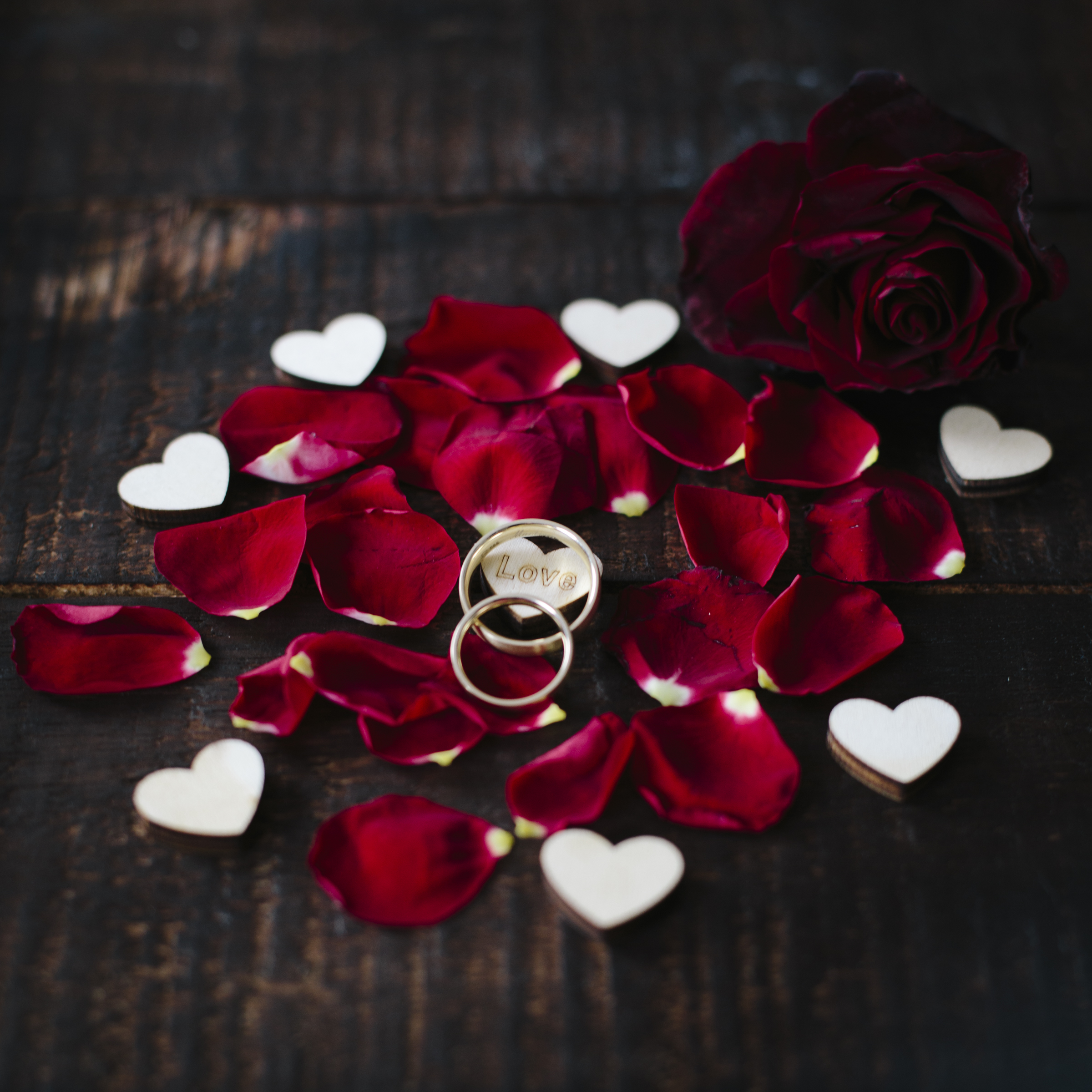 rings-petals-love-hearts