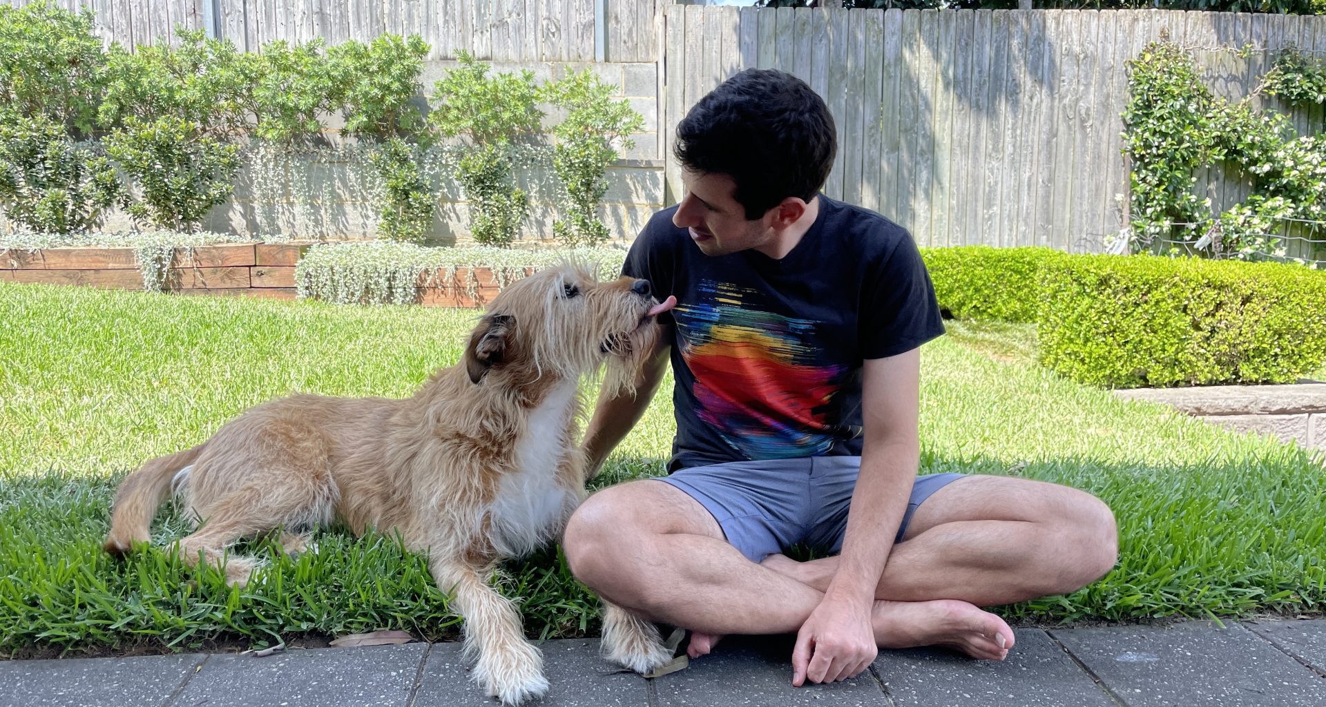 An Irish wolfhound cross sniffs a man sitting cross-legged on the grass.