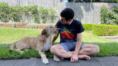 An Irish wolfhound cross sniffs a man sitting cross-legged on the grass.